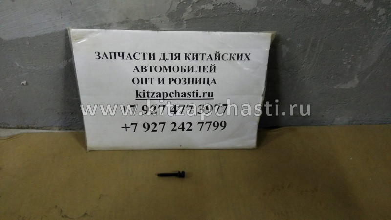 БОЛТ Geely Otaka E010002701